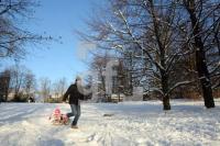 KN19_Park01_0155.JPG