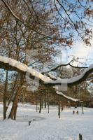KN19_Park02_0127.JPG