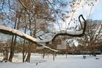 KN19_Park03_0125.JPG