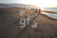 LC08_Sylt05_0111.JPG