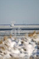 LC08_Sylt20_0179.JPG