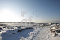 LC08_Sylt69_0167.JPG