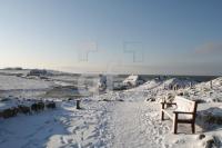 LC08_Sylt71_0164.JPG