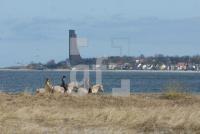 LE21_Laboe01_0900.jpg