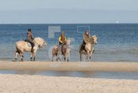 LE21_Laboe02_0900.jpg