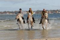 LE21_Laboe03_0900.jpg