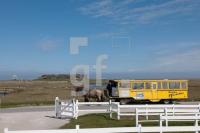 LF13_Hallig02_1300.jpg
