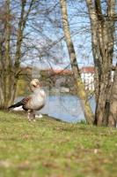 LF14_Kiel02_0146.JPG