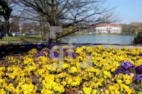 LF14_Kiel03_0151.JPG