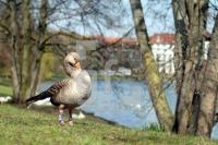 LF14_Kiel99_0146.jpg