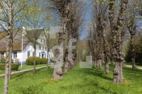 LG04_Hochdorf02_1300.jpg