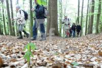LG05_Wandern08_0137.JPG