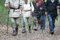 LG05_Wandern18_0178.JPG