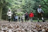 LG05_Wandern26_0165.JPG