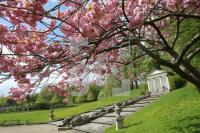 LG10_Gottorf05_0152.JPG