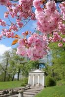 LG10_Gottorf16_0141.JPG