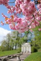 LG10_Gottorf17_0144.JPG