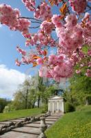LG10_Gottorf18_0146.JPG