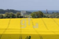 LG25_Behrensdorf02_0167.JPG