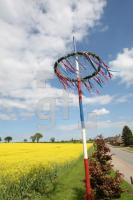 LG25_Maibaum02_0127.JPG