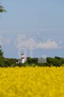 LG27_Danmark41_0128.JPG