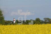 LG27_Danmark44_0137.JPG
