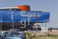 LH02_Sylt26_2250.jpg