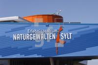 LH02_Sylt28_2247.jpg