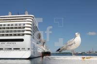 LH04_Kiel06_0193.JPG