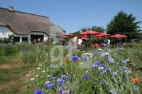 LI10_Hofcafe02_0112.JPG
