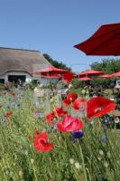 LI10_Hofcafe05_0102.JPG