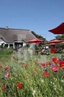 LI10_Hofcafe07_0192.JPG