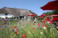 LI10_Hofcafe09_0178.JPG