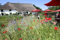 LI10_Hofcafe14_0163.JPG