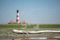 LI10_Leucht26_0144.JPG