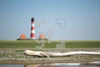 LI10_Leucht27_0142.JPG