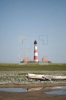 LI10_Leucht29_0139.JPG