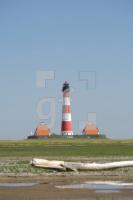 LI10_Leucht31_0137.JPG