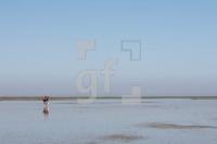 LI10_Watt01_0148.JPG