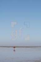 LI10_Watt02_0146.JPG