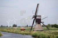 LI20_Honig06_0163.JPG