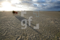 LI24_Ording10_0107.JPG