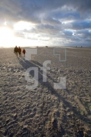 LI24_Ording11_0103.JPG