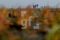 LK23_Watt02_0925.jpg