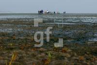 LK23_Watt03_0923.jpg