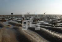 LK23_Watt09_0916.jpg