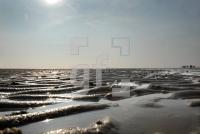 LK23_Watt12_0913.jpg