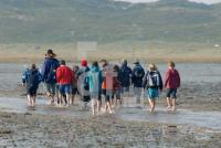 LK23_Watt23_0914.JPG