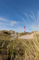 LL07_Amrum02_1304.jpg