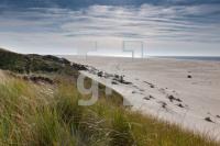 LL07_Amrum09_1304.jpg